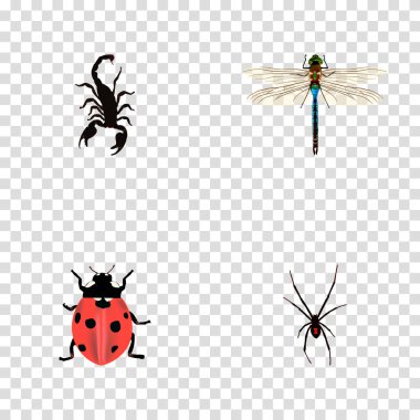 Uğur böceği, akrep, yusufçuk ve diğer simgeler web mobil app logo tasarımı için böcek gerçekçi simgeler kümesi.