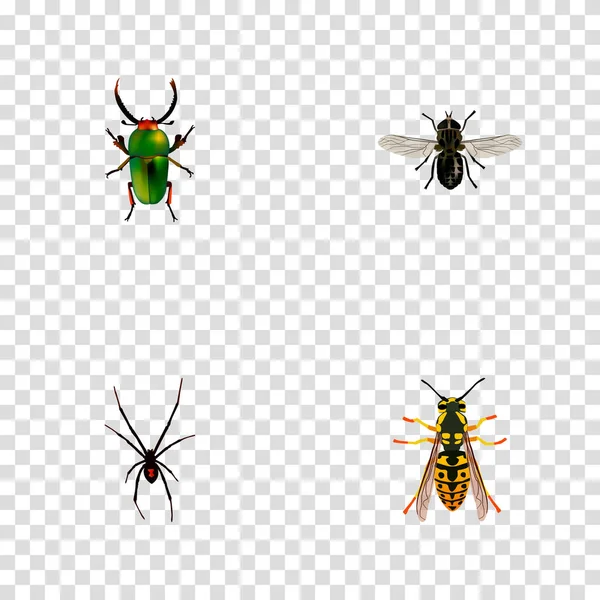 Set von insektenrealistischen Symbolen mit Fliege, Spinne, Käfer und anderen Symbolen für Ihr Web-App-Logo-Design. — Stockvektor