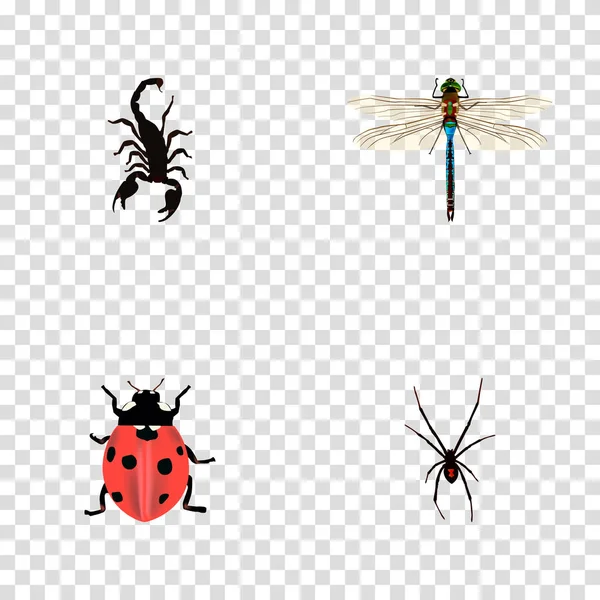 Conjunto de símbolos realistas de bugs com joaninha, escorpião, libélula e outros ícones para o design do logotipo do seu aplicativo móvel web . — Fotografia de Stock