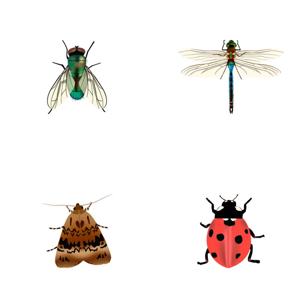 Set von bug realistischen Symbolen mit Wespe, Marienkäfer, Motte und anderen Symbolen für Ihr Webdesign für mobile Apps. — Stockvektor