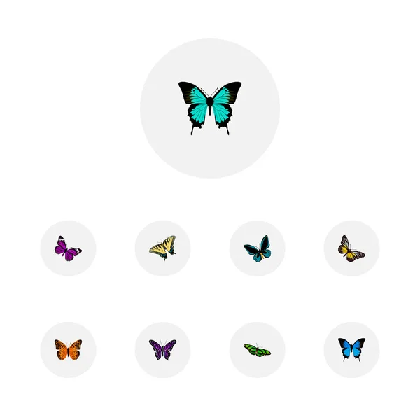 美容 polyommatus 蜆蝶と現実的な記号のセット イカルス、君主および web モバイル アプリのロゴ デザインの他のアイコン. — ストック写真