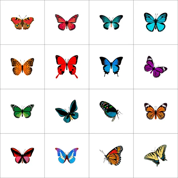 Butterfly realistiska symboler med stjärt-blå, agrias claudina, tiger swallowtail och andra ikoner för din mobilapp logotyp webbdesign. — Stock vektor