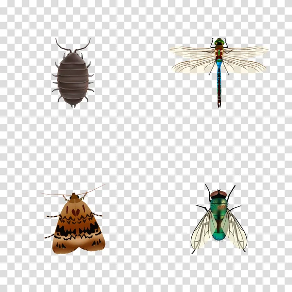 Ensemble de symboles réalistes d'insectes avec bug, libellule, guêpe et autres icônes pour la conception du logo de votre application mobile Web . — Photo