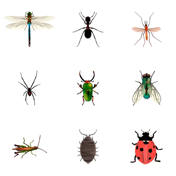 一组错误现实符号与 pismire, 蜻蜓, 黄蜂和其他图标为您的网络移动应用程序徽标设计. — 图库矢量图片