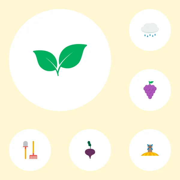 Set di icone agricole simboli in stile piatto con pala, foglia, uva e altre icone per il vostro disegno web mobile app logo . — Foto Stock