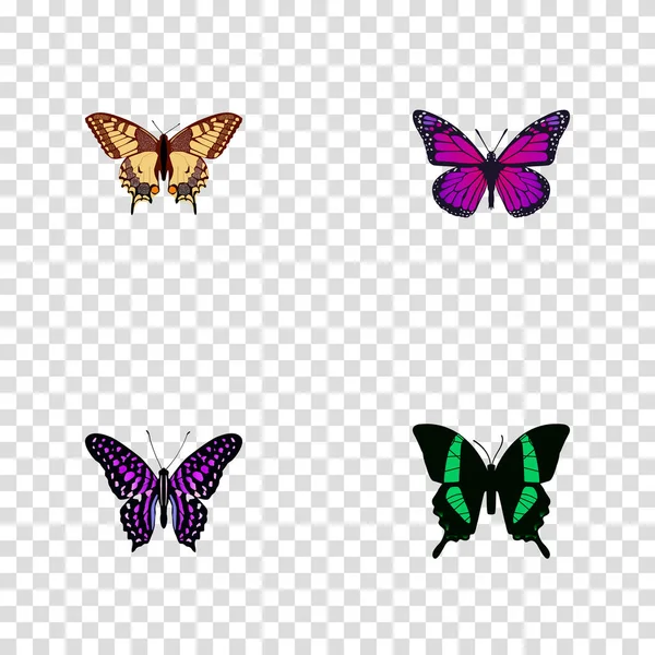 Set von Motten realistische Symbole mit tropischen Motten, gestreifte lila Krähe, violette Flügel und andere Symbole für Ihre Web-Mobile-App-Logo-Design. — Stockvektor
