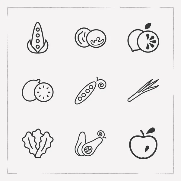 Set of vitamin icons line style symbols with leek, lettuce, squash and other icons for your web mobile app logo design.