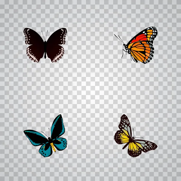 Instellen van de realistische symbolen nachtvlinder met lexias, vlinder, Geverfde Dame en andere pictogrammen voor uw web mobiele app logo ontwerp. — Stockfoto