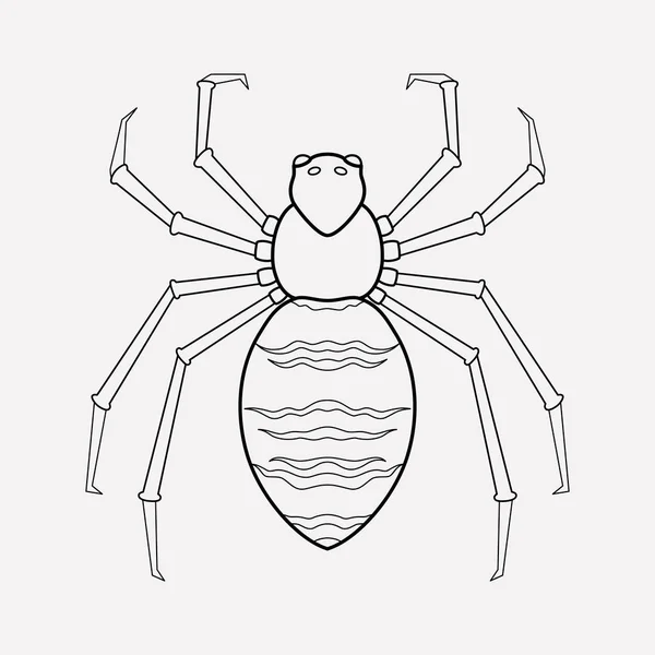 Spider pictogram line-element. illustratie van spin pictogram lijn geïsoleerd op schone achtergrond voor uw web mobiele app logo ontwerp. — Stockfoto