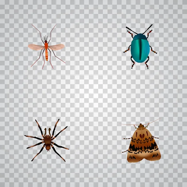 Conjunto de símbolos realistas de errores con mosquitos, insectos, tarántulas y otros iconos para el diseño del logotipo de su aplicación móvil web . —  Fotos de Stock