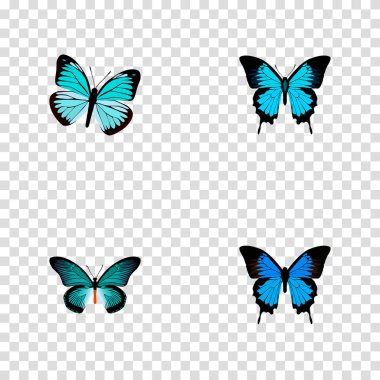 Set of beauty realistic symbols with polyommatus icarus, sky animal, tailed-blue and other icons for your web mobile app logo design. clipart