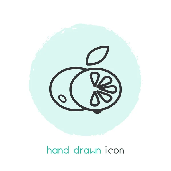 Mandarin Icon Line Element. Illustration der Mandarin-Symbolzeile isoliert auf sauberem Hintergrund für Ihr Web-Mobile-App-Logo-Design. — Stockfoto