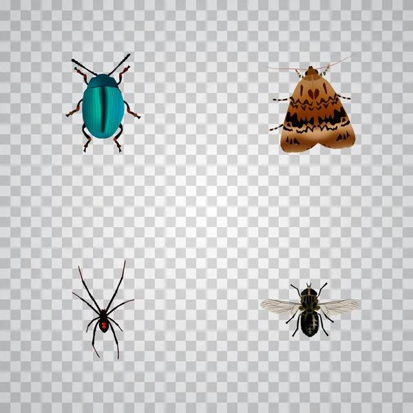 Conjunto de símbolos realistas de errores con araña, mosca, polilla y otros iconos para el diseño del logotipo de su aplicación móvil web . — Archivo Imágenes Vectoriales