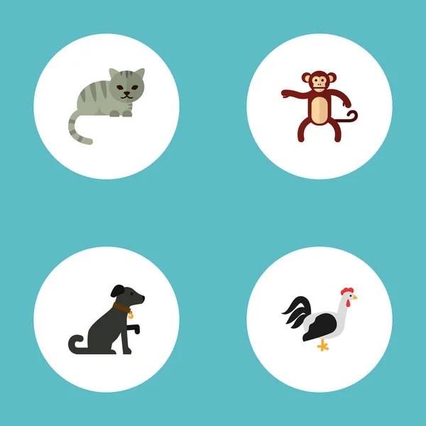 Készlet-ból állat ikonok lapos stílusú szimbólumok a macska, a kutya, a kakas és a más ikonok a webes mozgatható app logo tervezés. — Stock Vector