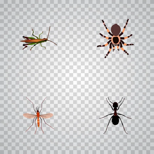 Conjunto de símbolos realistas de insectos con saltamontes, viuda negra, pismire y otros iconos para el diseño del logotipo de tu aplicación móvil web . — Archivo Imágenes Vectoriales