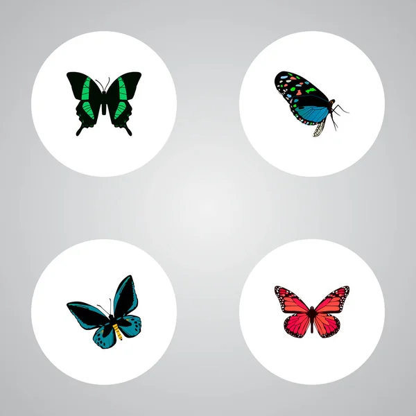 Set von schönheitsrealistischen Symbolen mit Lexika, tropischen Motten, Blautönen und anderen Symbolen für Ihr Webdesign für mobile Apps. — Stockfoto