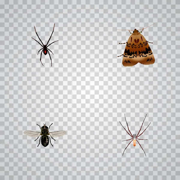 Conjunto de símbolos realistas de errores con araña, arácnido, mosca y otros iconos para el diseño del logotipo de su aplicación móvil web . —  Fotos de Stock