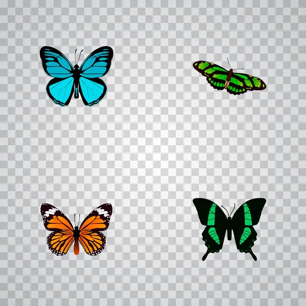 Ensemble de symboles réalistes papillon avec danaus plexippus, papillon tropical, oiseau et autres icônes pour la conception de logo de votre application mobile web . — Image vectorielle