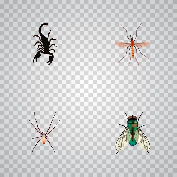 一套昆虫逼真的符号与蚊子, 蝎子, 黄蜂和其他图标为您的网络移动应用程序徽标设计. — 图库照片