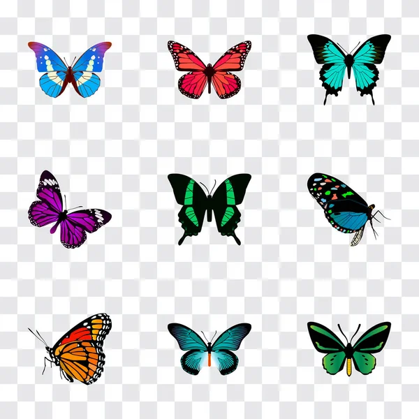Set von realistischen Schmetterlingssymbolen mit Sommerinsekt, rosafarbenem Flügel, Schönheitsfliege und anderen Symbolen für das Design Ihres Web-Mobile-App-Logos. — Stockfoto