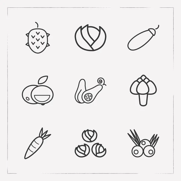 Set of berry icons line style symbols with artichoke, cabbage, zucchini and other icons for your web mobile app logo design. — Stock Vector