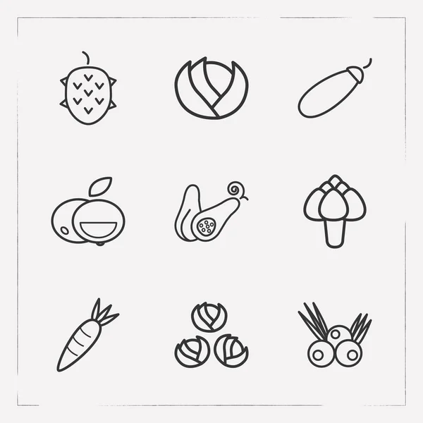 अपने वेब मोबाइल ऐप लोगो डिजाइन के लिए आर्टिचोक, कबूतर, ज़ुकीनी और अन्य प्रतीक के साथ विटामिन आइकन लाइन शैली प्रतीक सेट . — स्टॉक फ़ोटो, इमेज