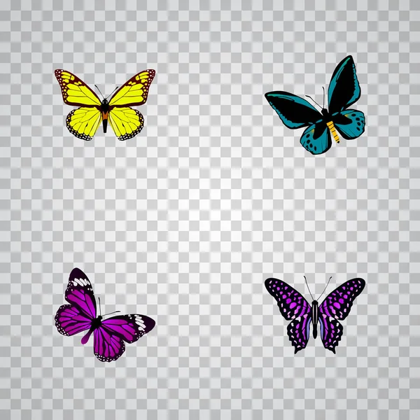 Conjunto de símbolos realistas de mariposa con cuervo de color púrpura rayado, alitas, insectos de verano y otros iconos para el diseño del logotipo de su aplicación móvil web . — Vector de stock