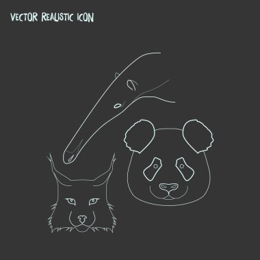 Nadir hayvan simgesi line öğesi. web mobil app logo tasarımı için temiz arka plan üzerinde izole nadir hayvan simgesi çizgi çizimi.