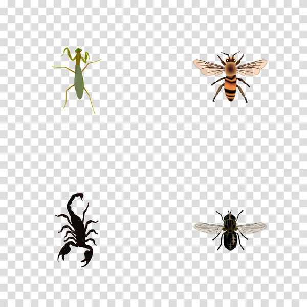 Eine Reihe von bug realistischen Symbolen mit Skorpion, Fliege, Gottesanbeterin und anderen Symbolen für Ihr Web-Logo für mobile Apps. — Stockfoto
