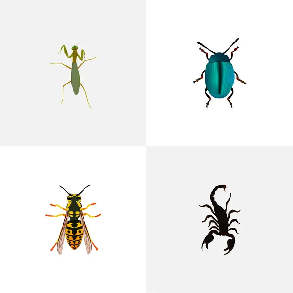 Zestaw owad realistyczne symboli z sting, scorpion, owady i inne ikony dla projektu logo mobilnych aplikacji sieci web. — Wektor stockowy