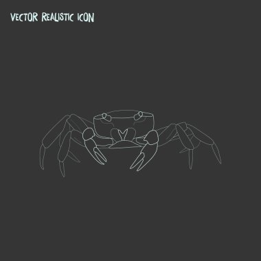 Yengeç simgesi line öğesi. Yengeç simgesi satır web mobil app logo tasarımı için temiz arka plan üzerinde izole vektör çizim.