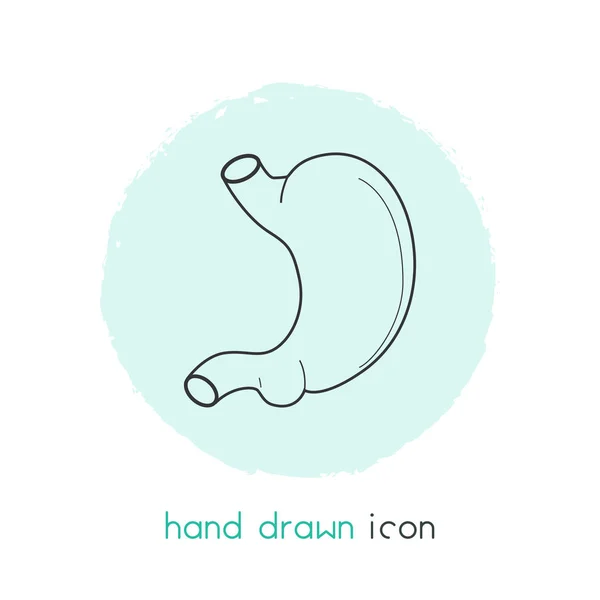 Stomach icon line element.  illustration of stomach icon line isolated on clean background for your web mobile app logo design.