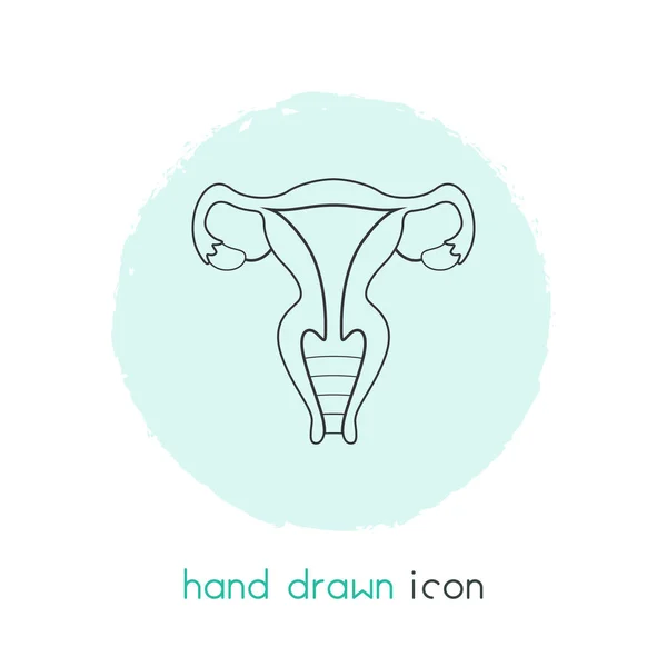 Elemento linea icona utero. Illustrazione vettoriale della linea di icone dell'utero isolata su sfondo pulito per il design del logo dell'app mobile web . — Vettoriale Stock