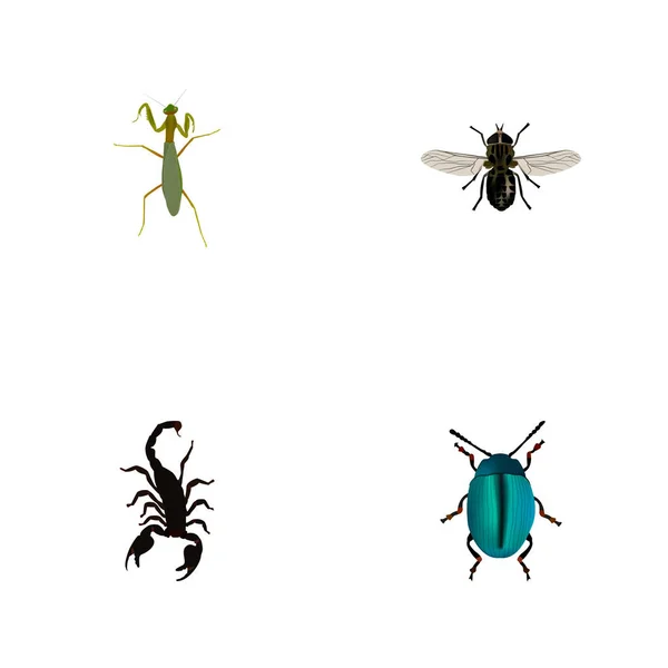 Eine Reihe von bug realistischen Symbolen mit Insekten, Skorpionen, Gottesanbeterinnen und anderen Symbolen für Ihr Webdesign für mobile Apps. — Stockvektor