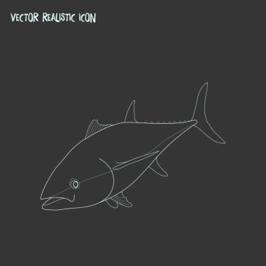 Ton balığı simgesi line öğesi. Ton balığı simgesi satır web mobil app logo tasarımı için temiz arka plan üzerinde izole vektör çizim.