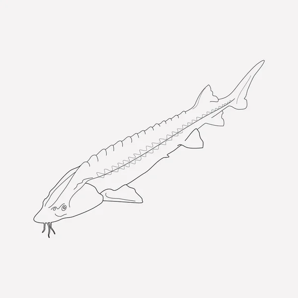 Sturgeon ikonen line-element. Vektorillustration av sturgeon ikonen linje isolerade på ren bakgrund för din mobilapp logotyp webbdesign. — Stock vektor