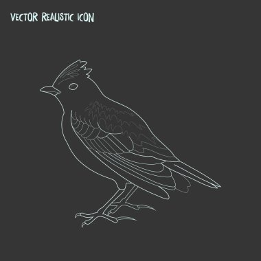 Skylark'ın simgesi line öğesi. web mobil app logo tasarımı için temiz arka plan üzerinde izole Skylark'ın simgesi çizgi çizimi.