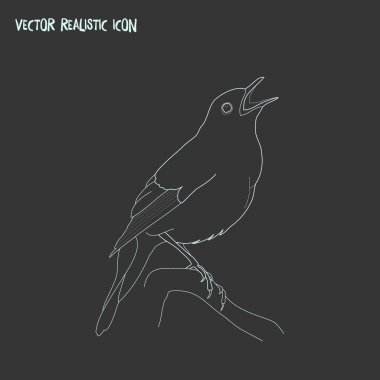 Bülbül simgesi line öğesi. web mobil app logo tasarımı için temiz arka plan üzerinde izole bülbül simgesi çizgi çizimi.