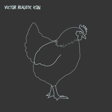 Tavuk simgesi line öğesi. Tavuk simgesi satır web mobil app logo tasarımı için temiz arka plan üzerinde izole vektör çizim.