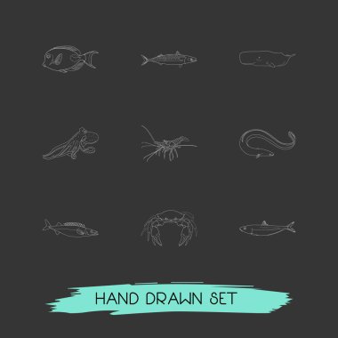 Fauna simgeler çizgi stili sembolleri sardalya, uskumru, yengeç ve diğer simgeler web mobil app logo tasarımı için kümesi.