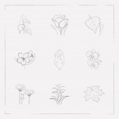 Reihe von Flora-Symbolen Linie Stil-Symbole mit Guzmania, Dianthus, Arum Lilie und andere Symbole für Ihre Web-Mobile-App-Logo-Design.