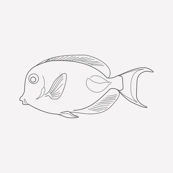해양 브러시 물고기 아이콘 선 요소입니다. 해양 브러시 물고기 아이콘 라인 웹 모바일 애플 리 케이 션 로고 디자인에 대 한 깨끗 한 배경에 고립의 그림. — 스톡 사진