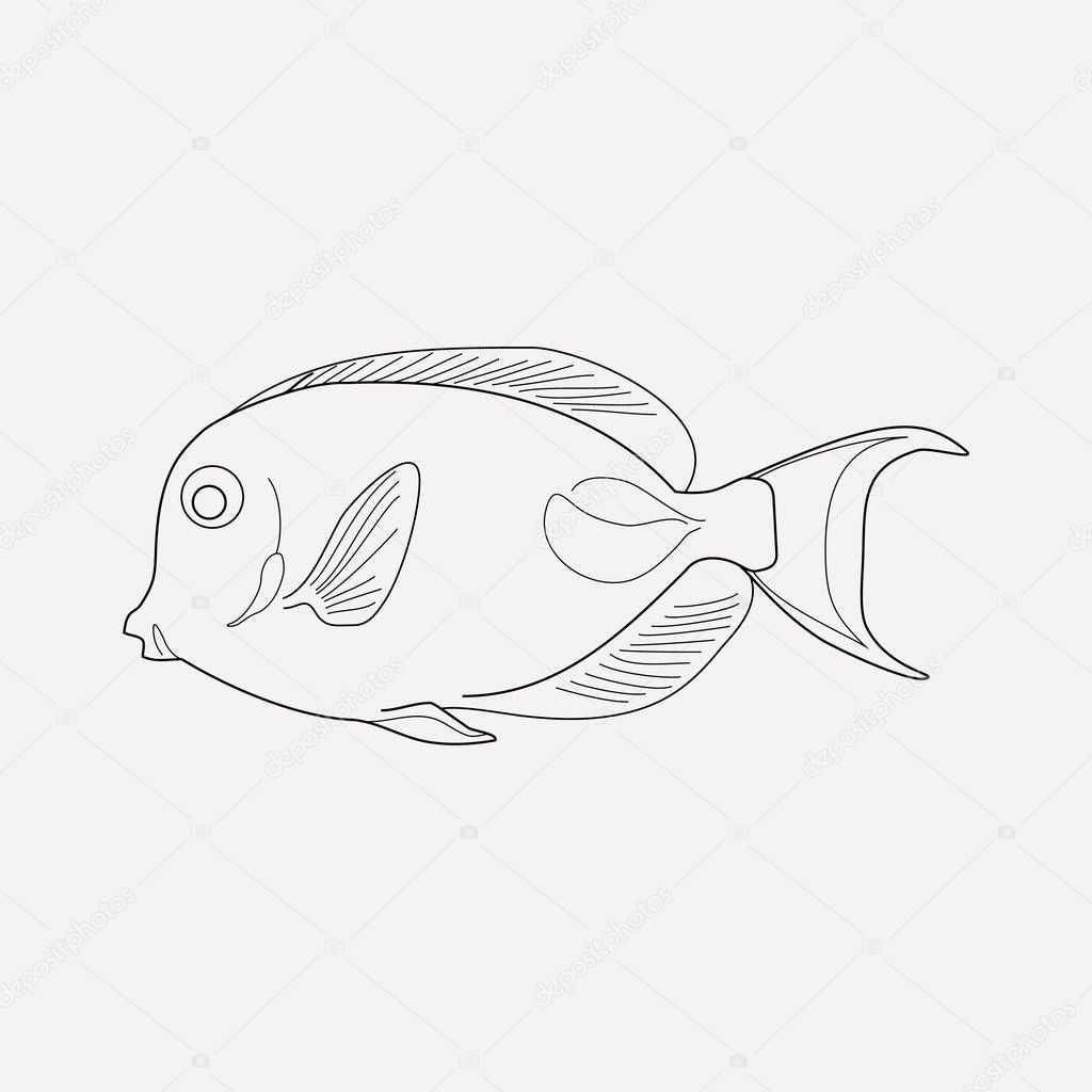 Marine brush fish icon line element.  illustration of marine brush fish icon line isolated on clean background for your web mobile app logo design.