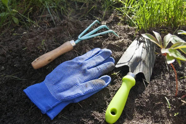 Zahradní nářadí-Trident, špachtle, rukavice na zemi — Stock fotografie