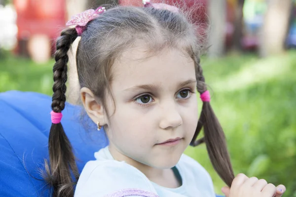 Kis aranyos lány Pigtailek a háttérben a nyári Park — Stock Fotó