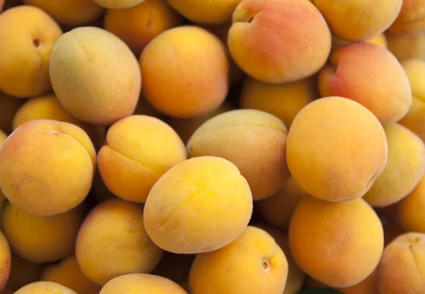 Lots of yellow orange ripe apricot — Stock Photo, Image