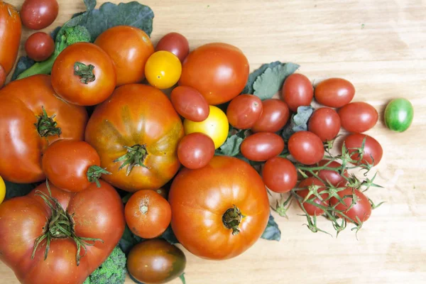 Taze büyük ve küçük kırmızı, sarı ve pembe domates — Stok fotoğraf