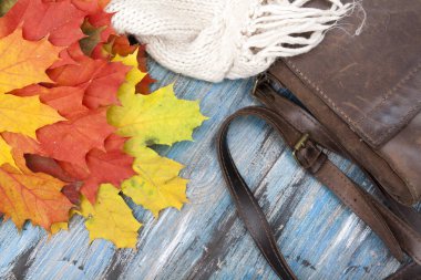 Akçaağaç yaprakları, bir kazak ve bir çanta sonbahar arka plan.