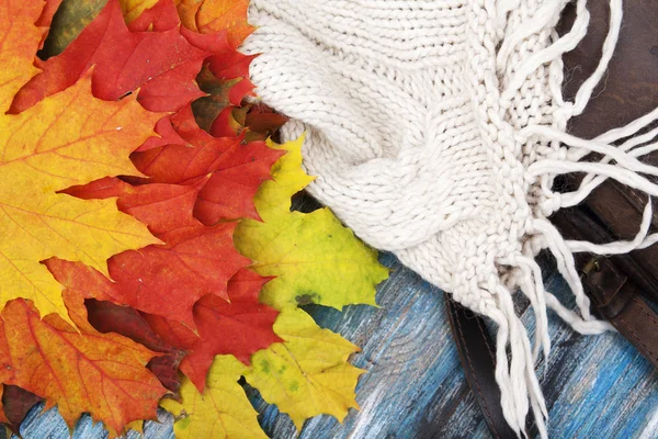 Herbst Hintergrund von Ahornblättern, Pullovern und Taschen — Stockfoto