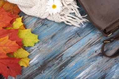 Akçaağaç yaprakları, kazak ve çanta Sonbahar düz yatıyordu